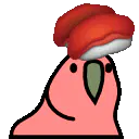 :sushiparrot: